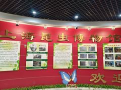 -上海昆虫博物馆