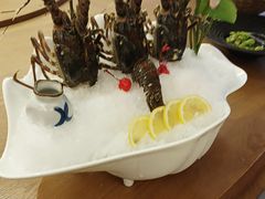 -尚海豆捞(乐虹坊店)