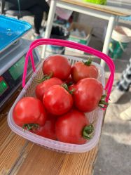 -蓝呗呗蓝莓草莓采摘园(通州区马驹桥店)