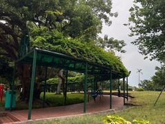 -纪念孙中山市政公园