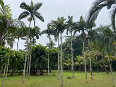 -中国科学院西双版纳热带植物园