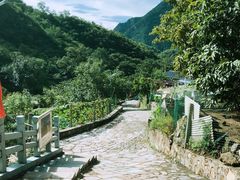 -大岭沟猕猴桃谷风景区
