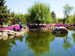 -羊亭河湿地公园