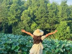 -艾溪湖湿地公园