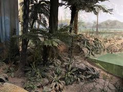 -浙江自然博物院(杭州馆)