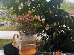 -春色如许·茶食餐厅(桃李春风店)