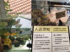 -有猫主题·治愈系猫咖(曾厝垵店)