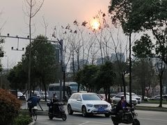 -府河摄影公园