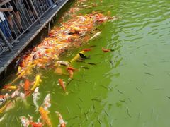 -泰安地下龙宫景区