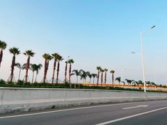 -海堤纪念公园