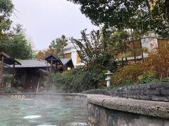 -杭州第一世界大酒店·云曼温泉