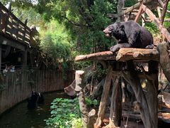 -长鹿旅游休博园