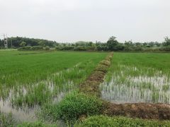 -百翠山居.家飨餐厅