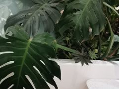 -眉州东坡(国贸店)