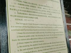 -西宁市东关清真大寺