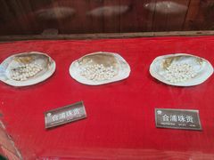 -北海金海湾红树林生态旅游区