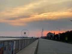 -奉贤海滩