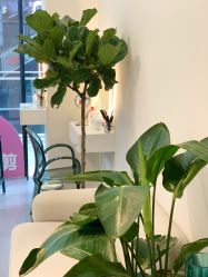 -美愈美肤MEIYU SKIN