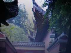 -长春观斋补堂素菜馆