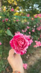 -壹加壹医疗美容·轻医美·美容外科