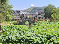 -环秀楼(黄山呈坎店)