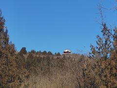 -白水寺森林公园
