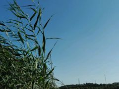 android_upload_pic-永定河休闲森林公园