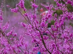 -天台山赤城山景区