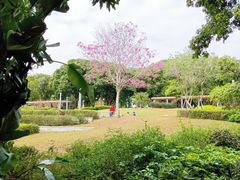 -四海公园(南山区)