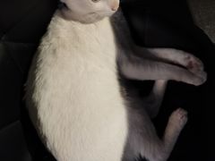 -Doors独立剧情密室(东门分店)