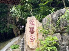 -深圳野生动物园