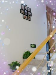 -酉嘉瑜伽YO+YOGA