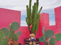 -漳州滨海火山岛自然生态风景区