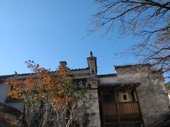 -塔川景区