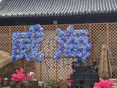 -威海华夏城景区