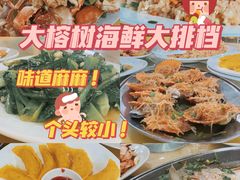 -巽寮湾