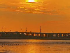 -宝安西湾红树林湿地公园