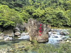 -石台牯牛降景区