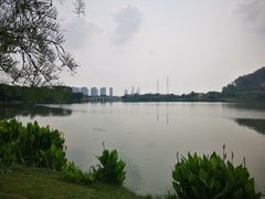 -顺峰山公园