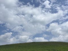 -乌拉盖芍药谷景区