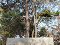 -高尔山公园