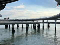 -演武大桥观景平台