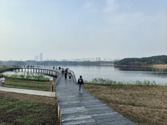 -海珠湖公园