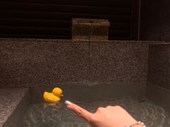 -龙佳生态温泉山庄