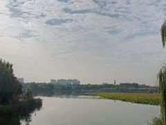 -大兴滨河森林公园