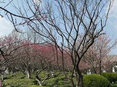 -上海海湾国家森林公园