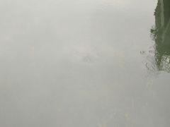-苏州吴中太湖旅游区
