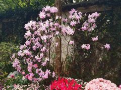 -惠山古镇·寄畅园