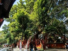 -白帝城·瞿塘峡景区