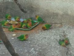 -昆明动物园